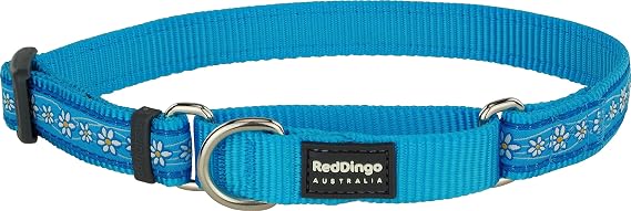Red Dingo Martingale Daisy Chain Collar, Small, Turquoise