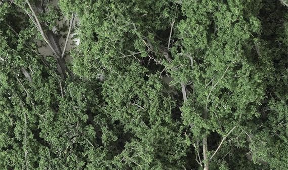 FINE Leaf Foliage Dark Green