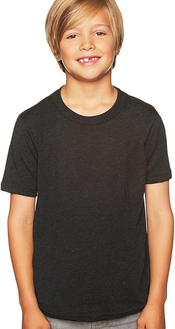 Triblend Crew Tee for Boys by Next Level