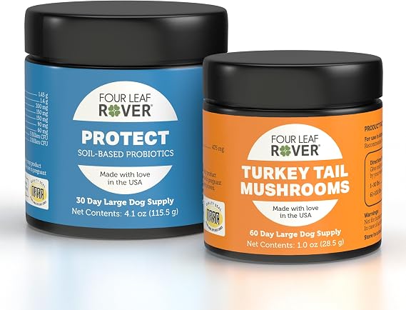 Protect + Turkey Tail Mushrooms