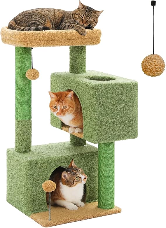 Small Cat Tree for Kittens, 32 in Cat Tower with 2 Cozy Condos