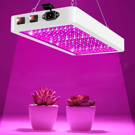 2000W High Power LED Grow Light, Waterproof Chip Phyto Growth Lamp, Full Spectrum Plant Lighting Double Switch for Indoor Plant Veg And Flower,2000W/312LED