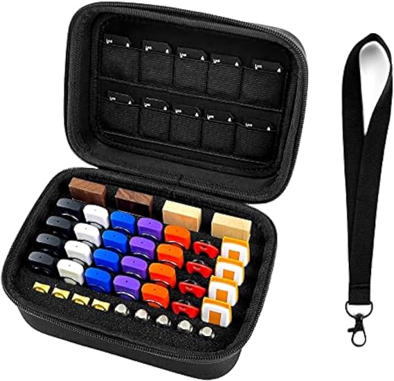 USB Flash Drive Case Memory Card Holder Thumb Drive Organizer USB Drives Storage Box for Sandisk/Samsung/SamData/Inland/PNY/Netac/JBOS (Case Only with Label and Strap)