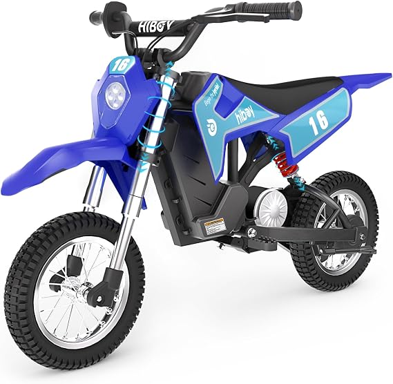 Hiboy DK1 36V Electric Dirt Bike for Kids, 300W & 15.5 MPH, Ages 3-10