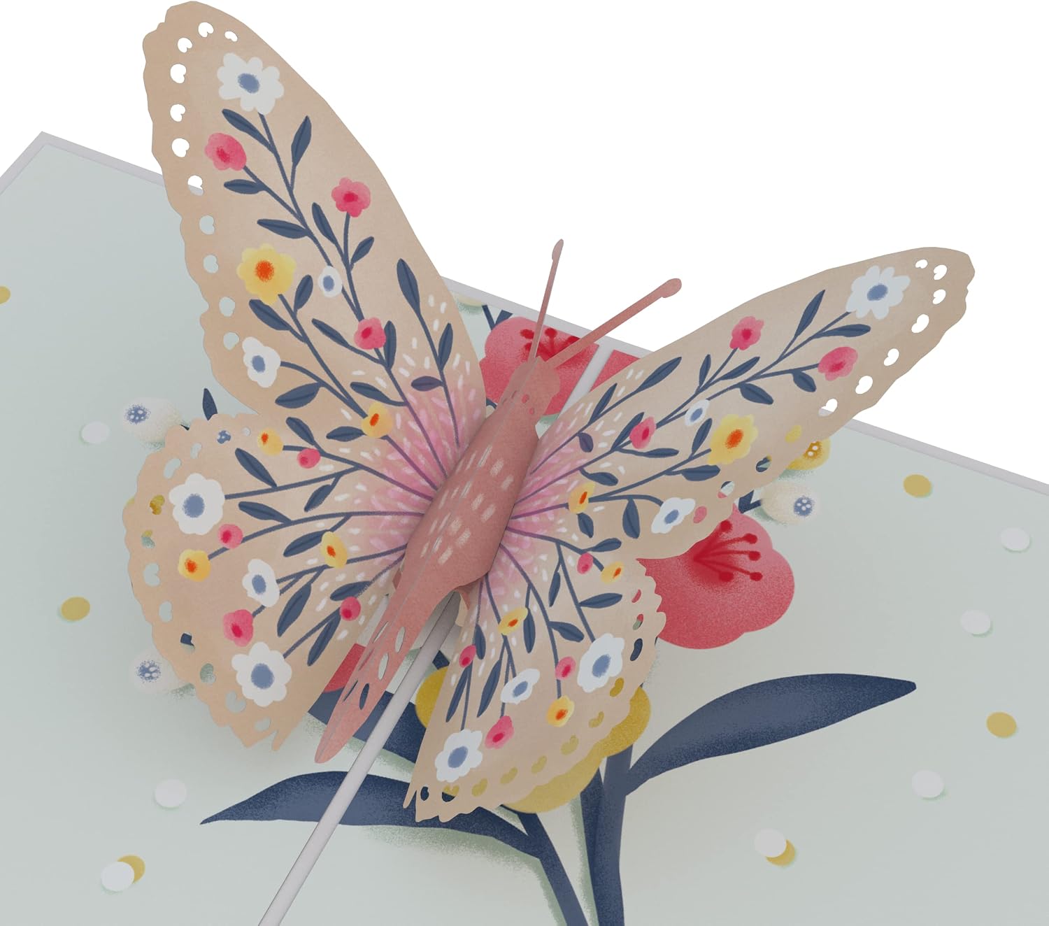 Lovepop Birthday Butterfly Pop-Up Card for Her and Him - 3D Greeting Cards for Boys, Girls, Men, Women - 5 x 7 Card - Blank Notecard & Envelope Included