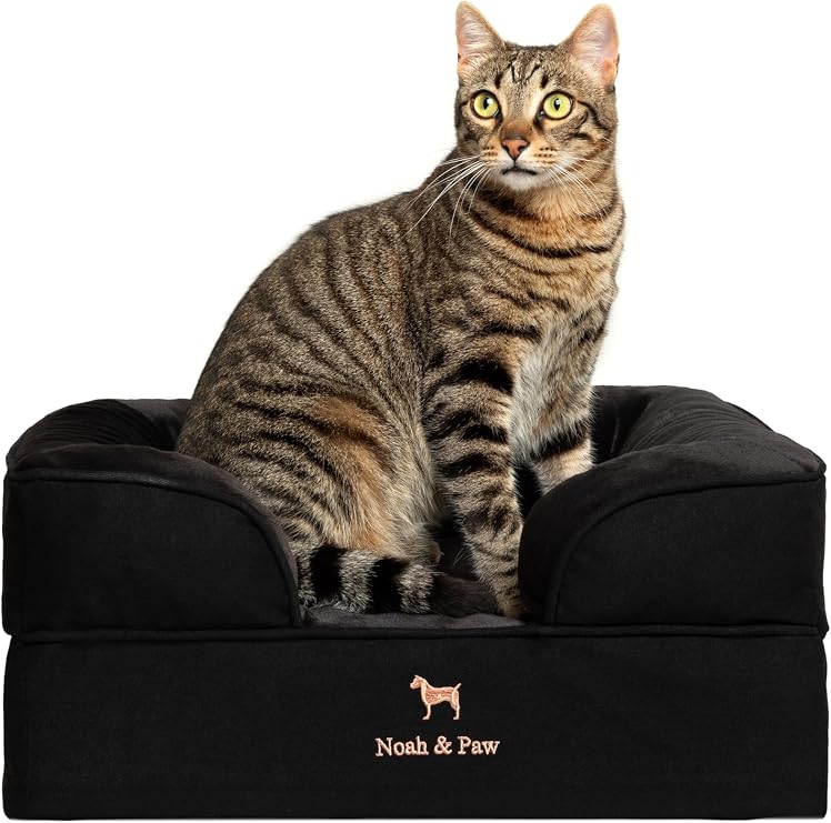 NOAH & PAW Small Dog Bed, 20x15x8 Inch, Cat Bed for Indoor Cats, Orthopedic Eggshell Memory Foam Infused with Cooling Gel, Water Resistant Inner Cover Machine Washable