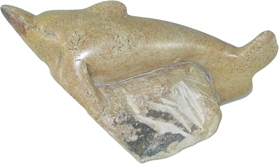 Dolphin Stone Sculpture #2 by Zimbabwe artists 20cm 1kg with Storycard