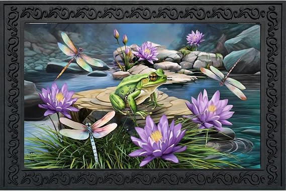 Briarwood Lane Spring Doormat 30x18 Indoor Outdoor Dragonflies and Frog for Spring Doormat