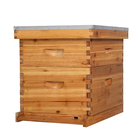 VINGLI 10 Frame Langstroth Beehive Starter Kit, Beeswax Coated 2 Layer Complete Bee Hive, 1 Deep Brood Box & 1 Medium Super Box with Frames and Waxed Foundations for Beekeepers