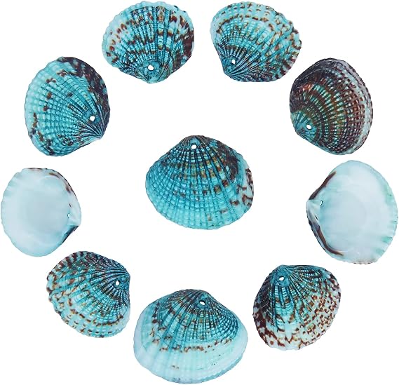 Firstmeet 20pcs Natural Hand Painted Seashells Colorful Dyed Shells Craft Charms for Home Decorations, Beach Themed Party(DIY-1033-Blue)