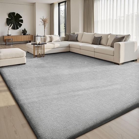 Sour Lemon Area Rugs 9x12 for Living Room Bedroom, Large Carpet Grey Rug