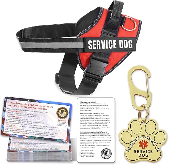 Service Dog Vest, ID Tag + 50 ADA Information Cards, Service Dog Harness w Patch in Sizes XX Small to  Large, Ruggedized Metal Tag, Service Animal Information Cards, ESA Accessory Set -Large