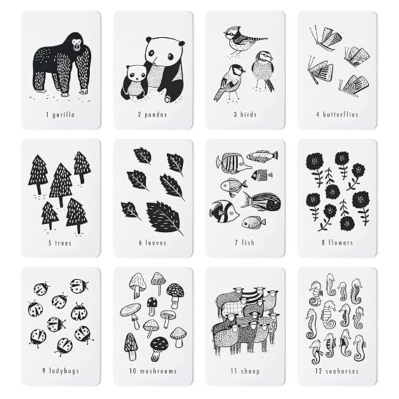 Wee Gallery Number Cards, Nature Counting Flash Cards for Toddlers