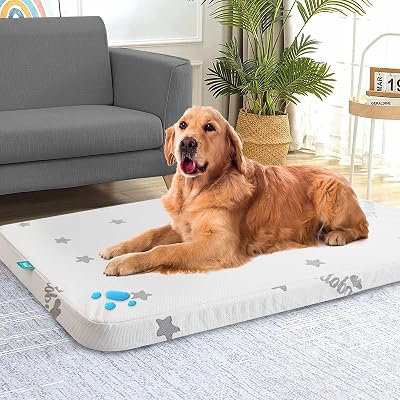 Biloban Waterproof Dog Beds for Large Dogs, Washable Mat Pad, Memory Foam Dog Beds & Furniture for SmallMedium LargeL Pet with Removable Cover Light Grey