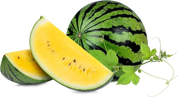 Yellow Doll Hybrid Watermelon Seeds