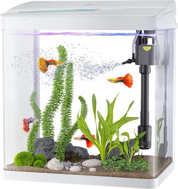 PONDON 8 Gallon Fish Tank, Glass Aquarium Starter Kit, Includes Filter and LED Lighting (White, 8Gallon)