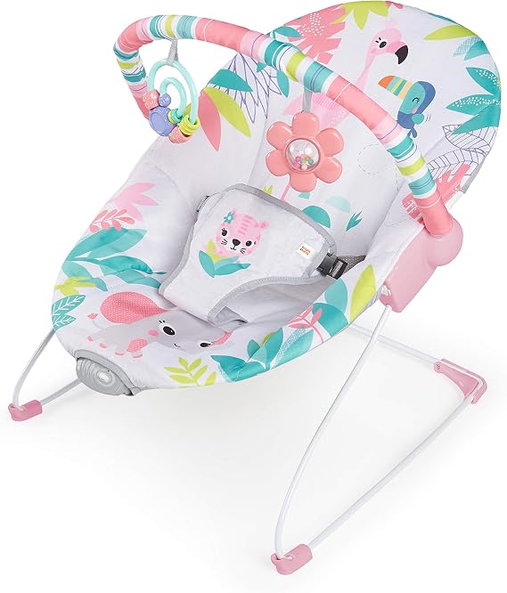 Bright Starts Flamingo Vibes 3 Noktalı Emniyet Kemeri Titreşimli Salyangoz ve Oyuncak Barı 0-6 Ay