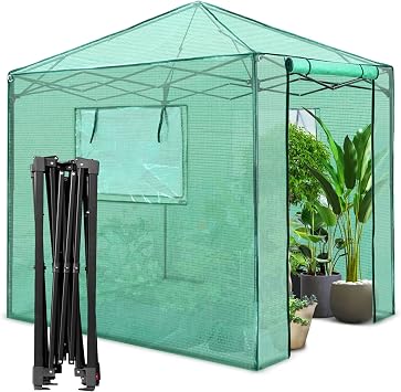 PexFix 8'x 8' Portable Walk-in Greenhouse, Easy Setup, Indoor/Outdoor, 2 Roll-Up Mesh Windows, Roll-Up Zipper Door, Green