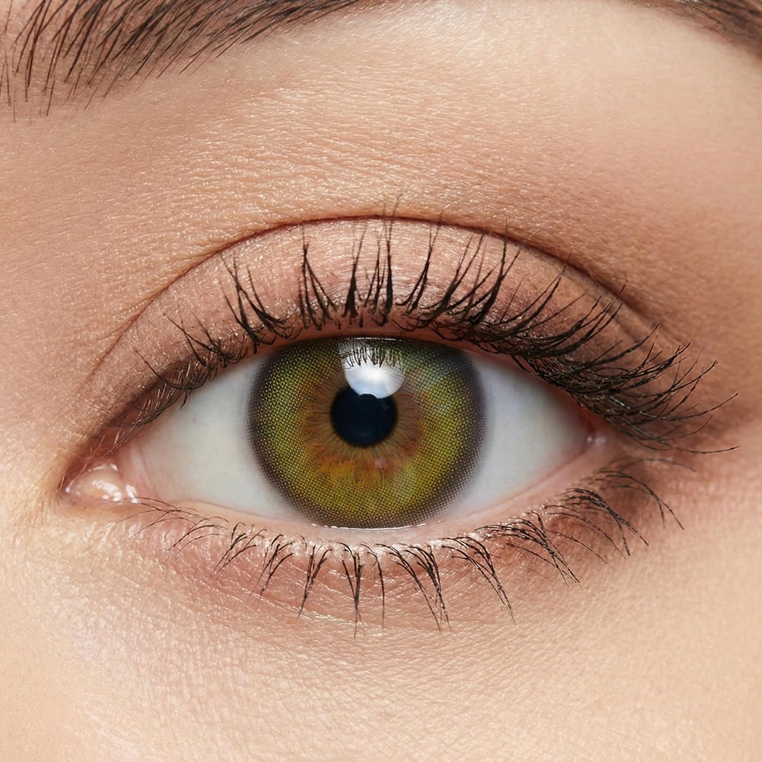 GLAMLENS Olive Grove (Olive Green) - Natural-Looking Subtle Coloured Contat Clins without Strength - 3 Months Coloured