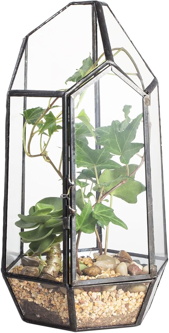 NCYP Small 5.1" x 5.1" x 8.66" Irregular Geometric Glass Terrarium Planter with Door - Home Tabletop Display Container Pot for Succulents, Cacti - Indoor Clear Decor, Black (No Plants)