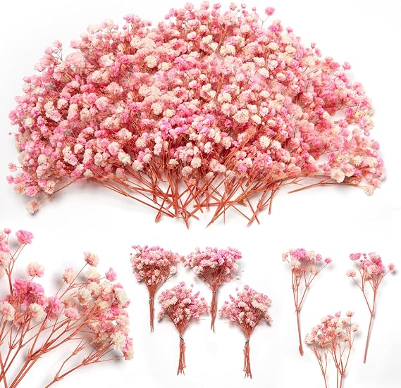 7500+ Pink Dried Baby Breath Flowers, 95pcs Gypsophila Bouquet for DIY