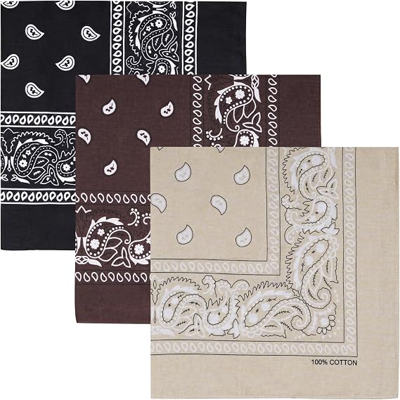 Raylarnia 100% Cotton Bandanas for Men Women, 22" Multi-Color Scarf 3 PCS
