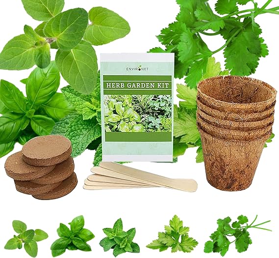 Herb Garden Kit - Seed Starter Kit for Indoor Herb Gardening. Grow 5 Popular Herbs- Basil, Mint, Parsley, Cilantro, Oregano. Ideal for Beginners & Gardening Gifts