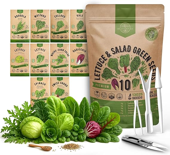 10 Lettuce & Salad Greens Seeds Variety Pack 13000+ Non-GMO Heirloom Lettuce Seeds for Planting Indoors & Outdoors Garden, Hydroponics - Arugula, Radicchio, Kale, Spinach, Swiss Chard
