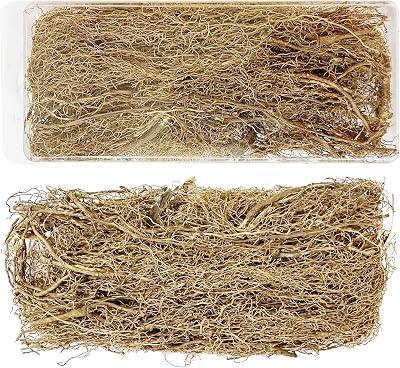 Woohome Miniature Root Vine Vegetation Train Root Model Scene Plant Stems for DIY Model Military Scene Railway Fairy Garden Diorama Scenery Landscape