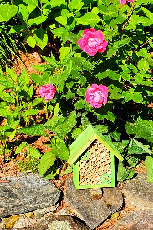 Mason Bee Houses and Supplies : Bamboo Tube Bee Hotel for Solitary Bees - Attract More Gentle Pollinating Bees to Your Garden by Providing Them with a Safe Bee Home Made from FSC Certified Wood