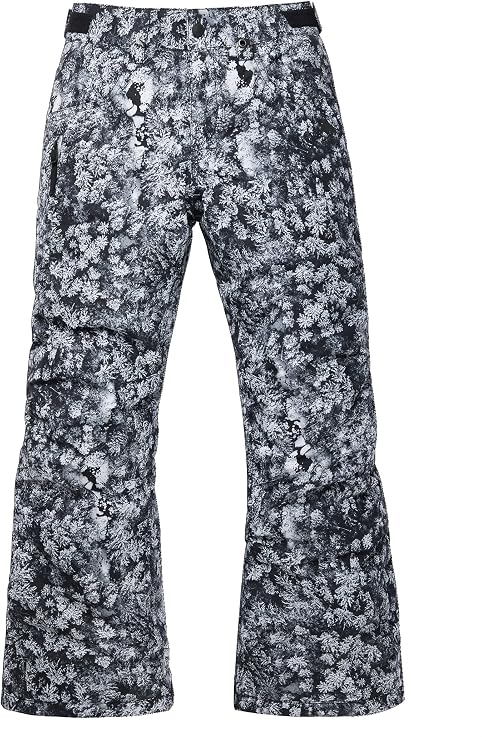 Burton boys Boys' Barnstorm 2l Pants