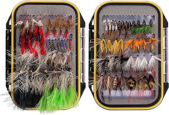 BASSDASH Fly Fishing Flies Kit Fly Assortment Trout Bass Fishing with Fly Box with Dry/Wet Flies, Nymphs, Streamers, Popper